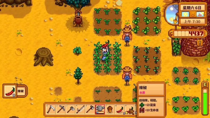 星露谷物语前期怎样最高效地赚钱 星露谷物语前期怎样最高效地赚钱