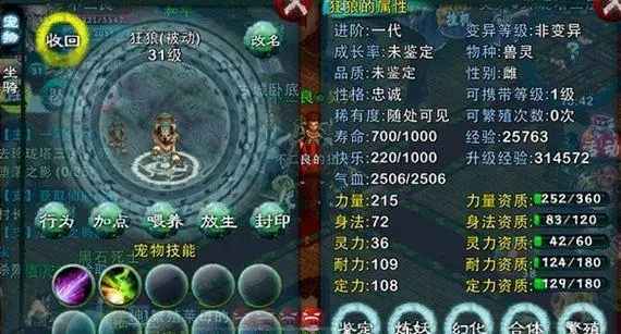 忘仙比武比赛的举办地点在哪儿