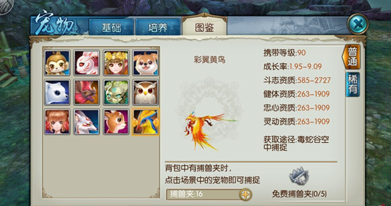 诛仙手游宝宝点技能是否需要有策略