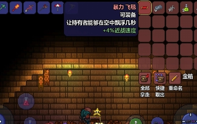 用什么饰品提升泰拉瑞亚召唤师实力