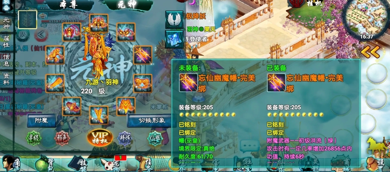 忘仙神石能改变人的身体状况吗