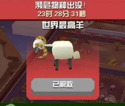 你是否掌握了疯狂动物园法拉牛抓捕的技巧 你是否掌握了疯狂动物园法拉牛抓捕的技巧