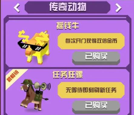 海狮在疯狂动物园是如何被捕捉的