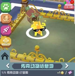 有什么技巧可以在疯狂动物园中抓到稀有动物 有什么技巧可以在疯狂动物园中抓到稀有动物