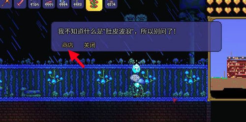 泰拉瑞亚游戏里有哪些最强套装 泰拉瑞亚游戏里有哪些最强套装