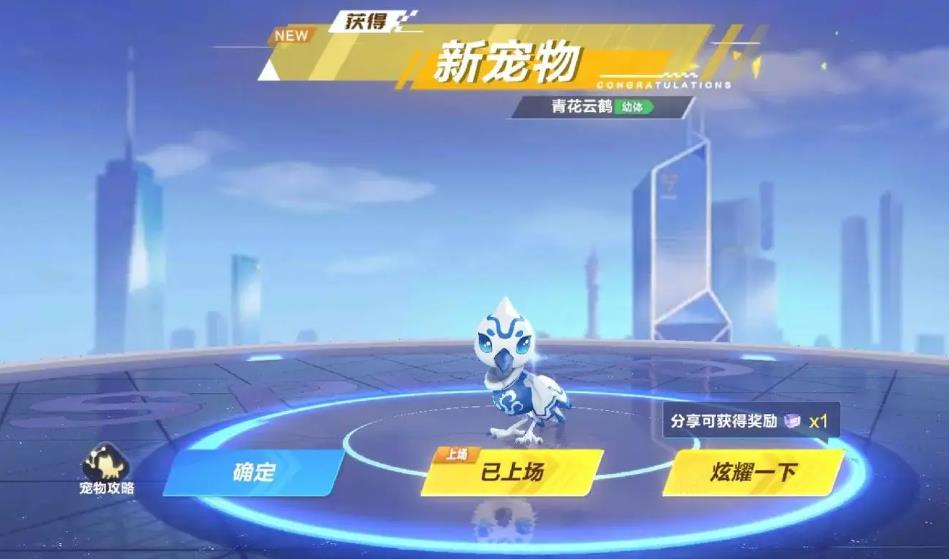 有没有推荐的2019qq飞车点券宠物