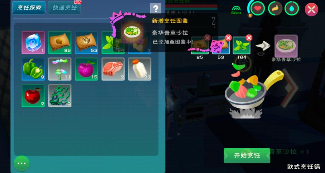 训练创造与魔法熊需要注意哪些事项