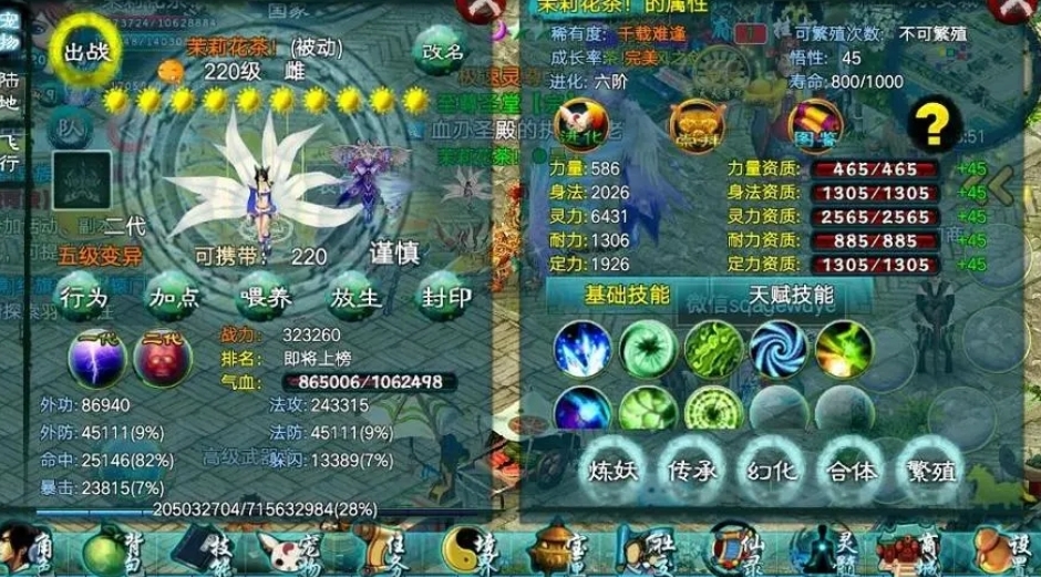 需要遵守什么规定才能购买忘仙宠物易经丹