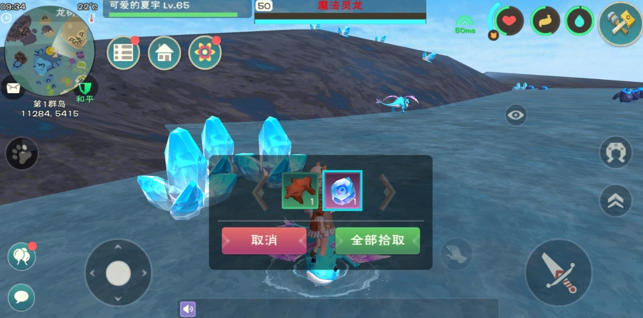 创造与魔法创造各种花卉与魔法有何关联