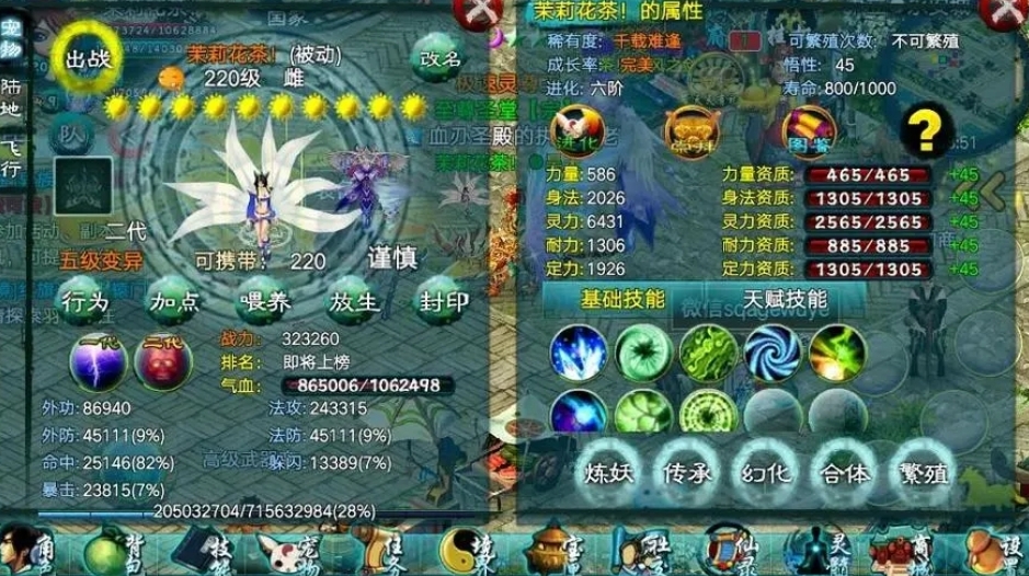 忘仙手游地榜装备如何快速获得