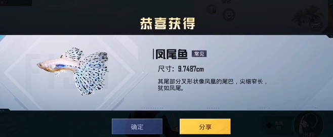 想了解和平精英身法训练有多少种方法