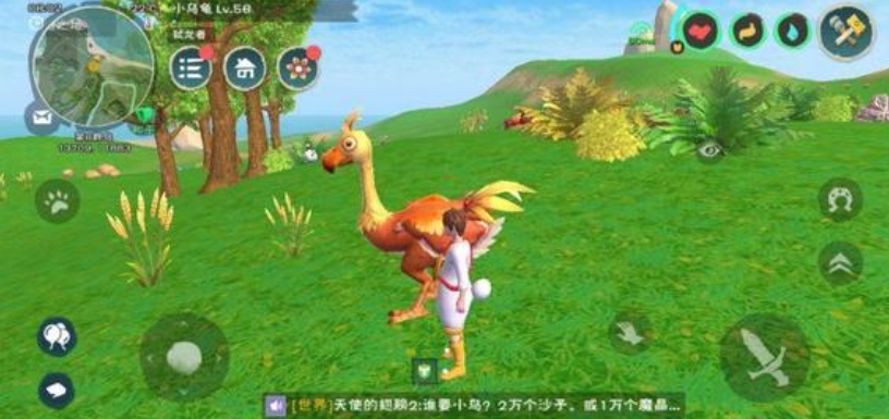 创造与魔法鸡的分布区域在哪里