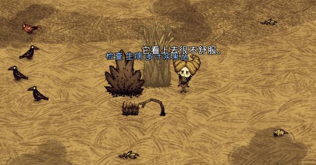 饥荒地下入口可能在哪个生物群 饥荒地下入口可能在哪个生物群