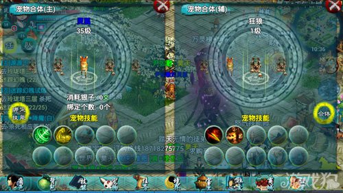 有什么秘诀可以让我获取忘仙常青草吗 有什么秘诀可以让我获取忘仙常青草吗
