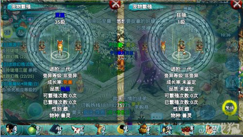 有什么秘诀可以让我获取忘仙常青草吗 有什么秘诀可以让我获取忘仙常青草吗