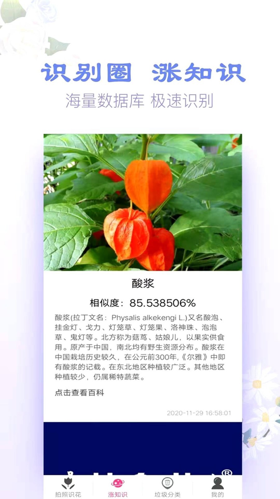 拍照识花