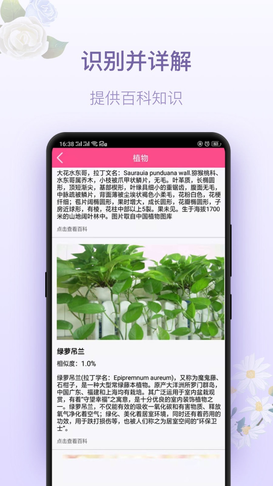 拍照识花
