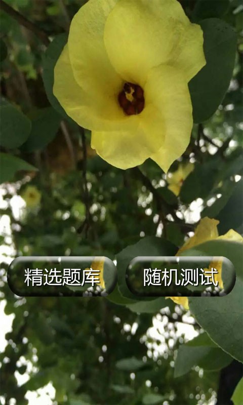 内科护理学试题及答案
