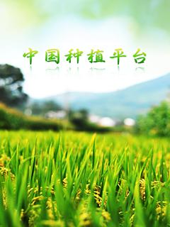 中国种植平台