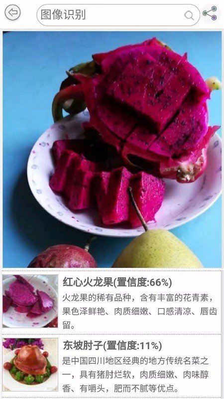 水果百科