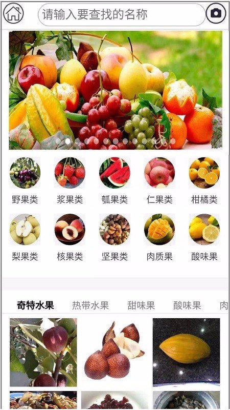 水果百科