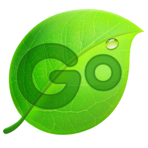 go输入法2015