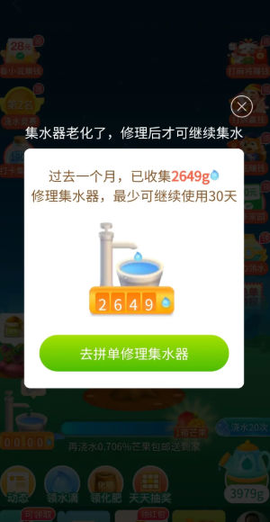 园多多