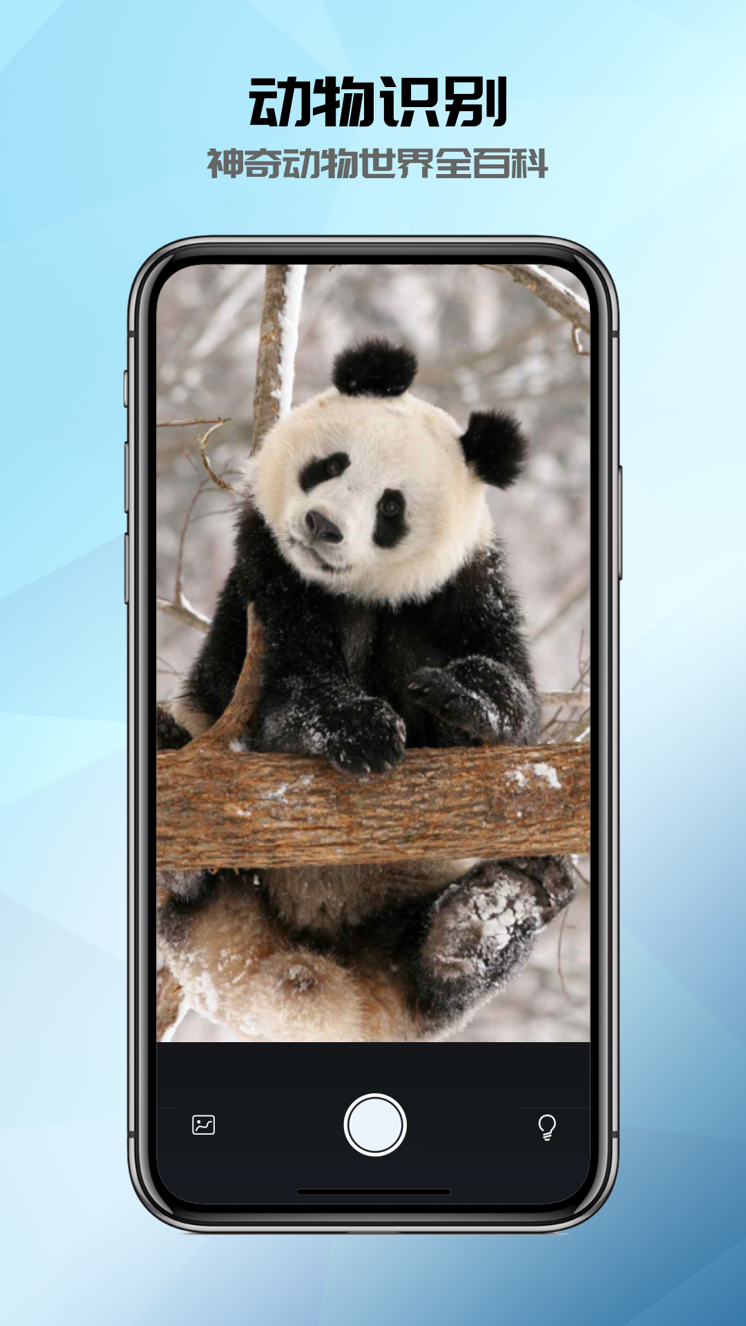 全能识别_截图3