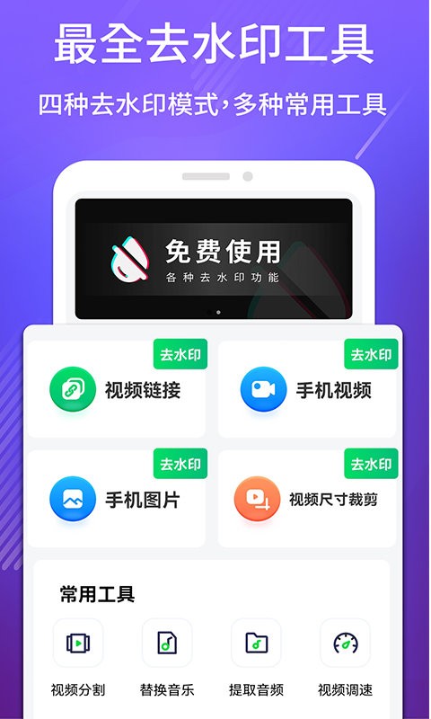 短视频去水印大师