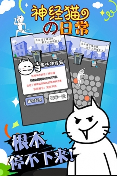 神经猫的日常