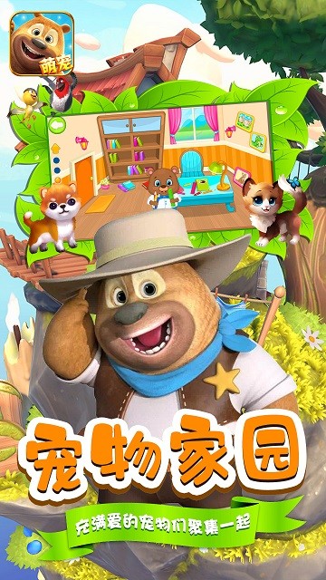 小熊宠物