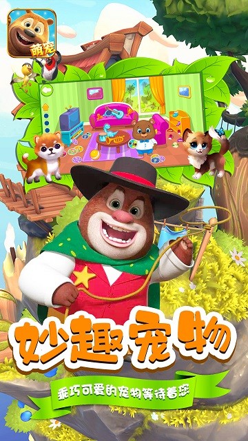 小熊宠物