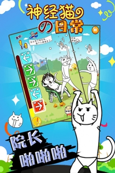 神经猫的日常