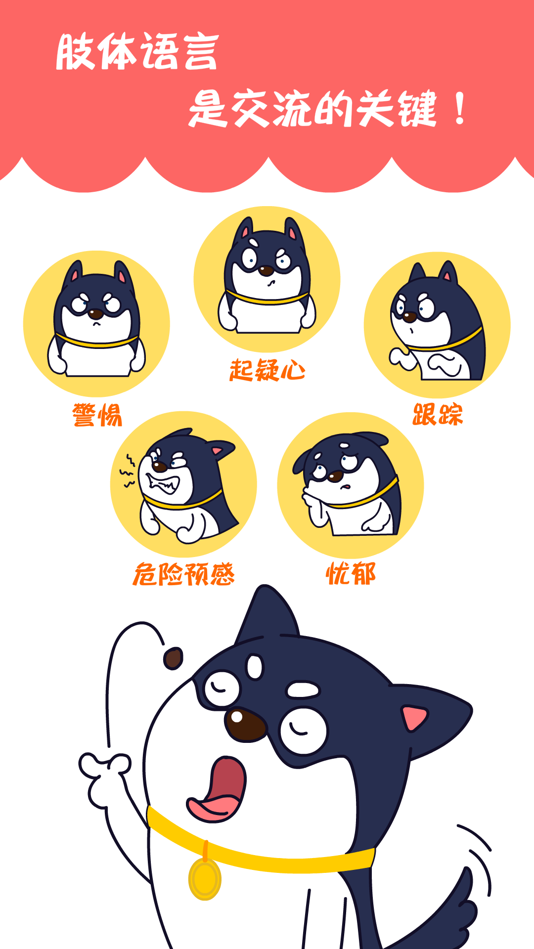 训狗养狗助手_截图3