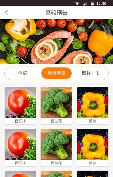 懂菜_截图3