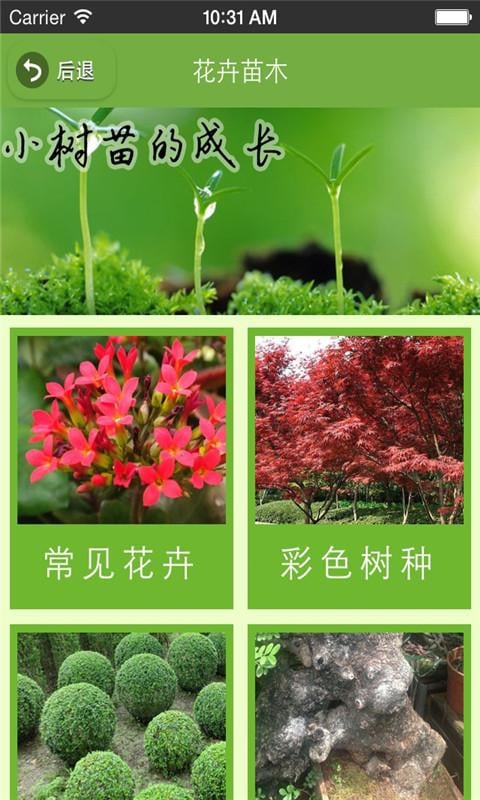 湖北园艺