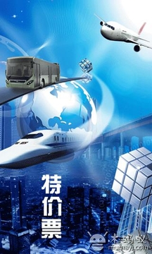 特价票