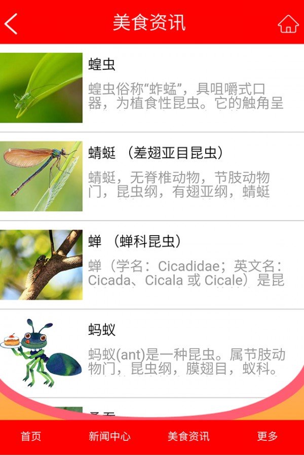 昆虫食品