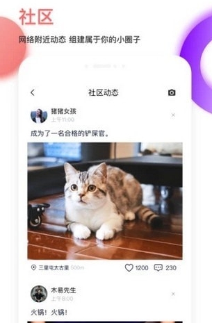 tago短视频