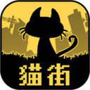 黑猫与没有你的街道