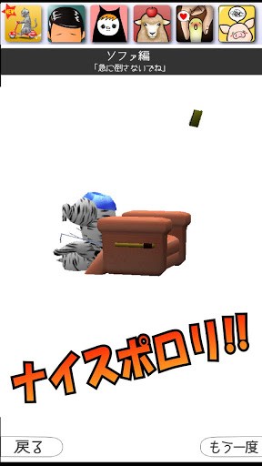 穿泳衣的猫