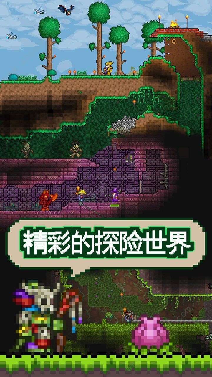 泰拉瑞亚蛮荒