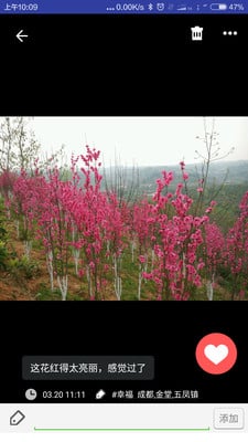 光阴的故事