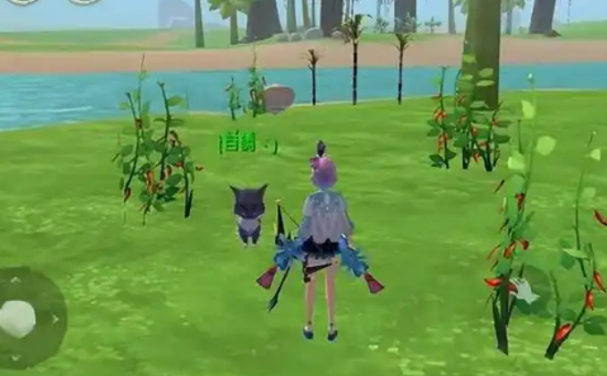 创造与魔法你知道如何获取一只魔法宠物狗吗 创造与魔法你知道如何获取一只魔法宠物狗吗