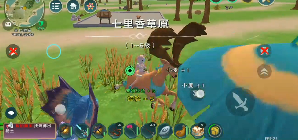 创造与魔法最好的食物是什么