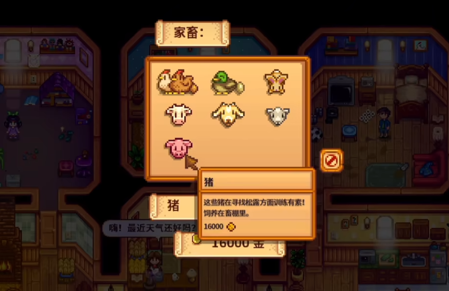 星露谷物语的神秘齐是如何激活的 星露谷物语的神秘齐是如何激活的