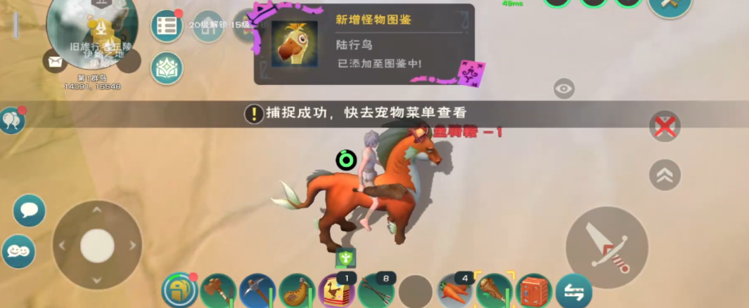 创造与魔法我该到哪里才能找到最多的胡萝卜 创造与魔法我该到哪里才能找到最多的胡萝卜
