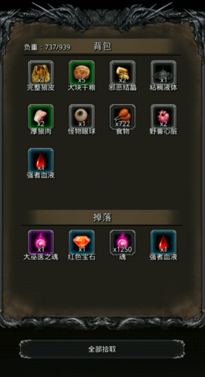 地下城堡2的支线任务有什么特殊要求 地下城堡2的支线任务有什么特殊要求