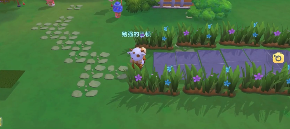 摩尔庄园花蛇钓点的选取方法