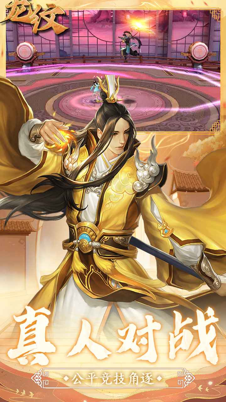 龙纹